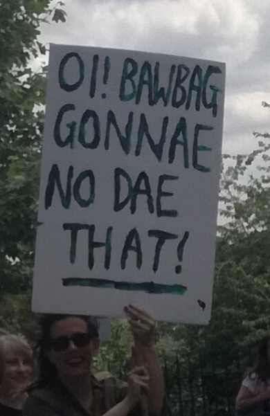 Illustration for article titled Scottish anti-Trump photo dump (long and comprehensive!)